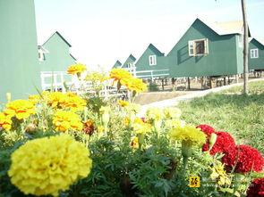 遗落的月光,探寻失落文明的神秘传说