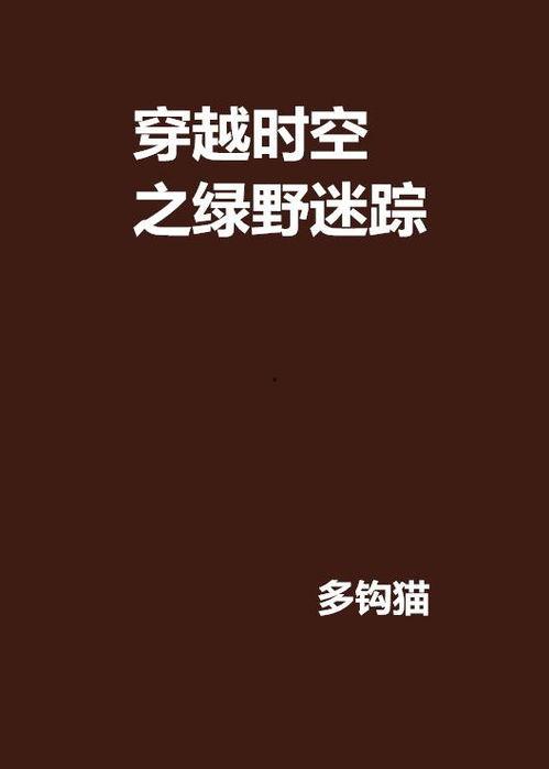 时空迷踪,揭秘时空迷踪的奇幻旅程